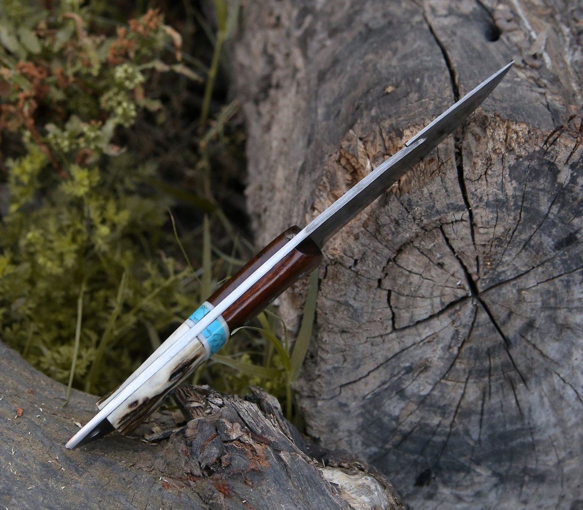 Thunder Damascus Gut Hook Knife with Stag Horn, Wenge Wood & Turquoise Handle
