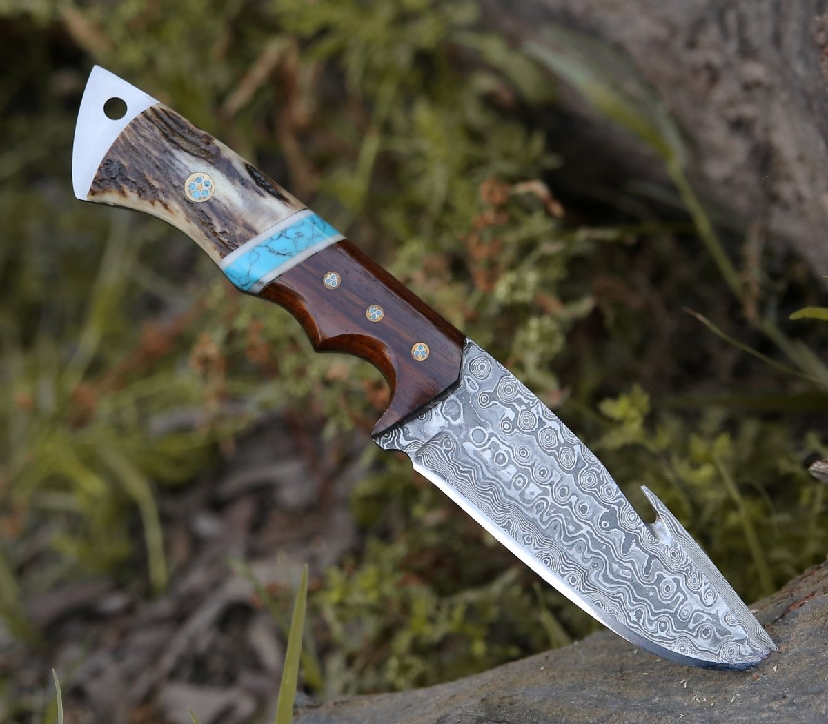 Thunder Damascus Gut Hook Knife with Stag Horn, Wenge Wood & Turquoise Handle