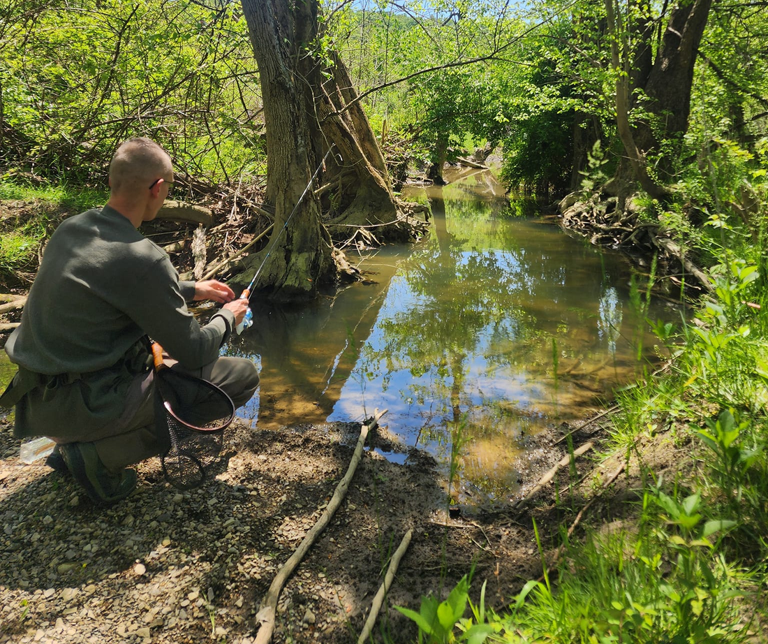 The Healing Power of Small Streams: A Personal Journey