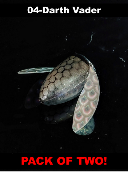 Spin-N-Glos Size 2 (2 Packs)