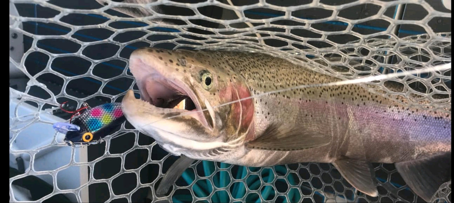 Killer Fish - Rattling Shallow Diver UV