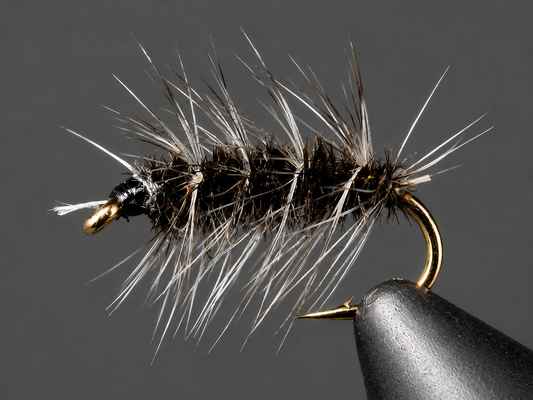 Griffith's Gnat
