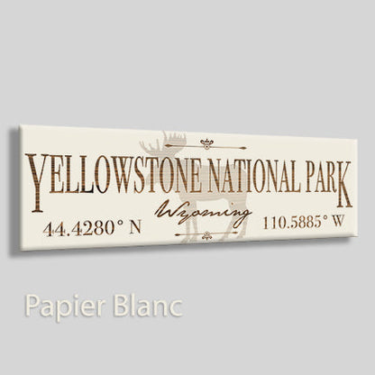 Yellowstone, Wyoming Moose