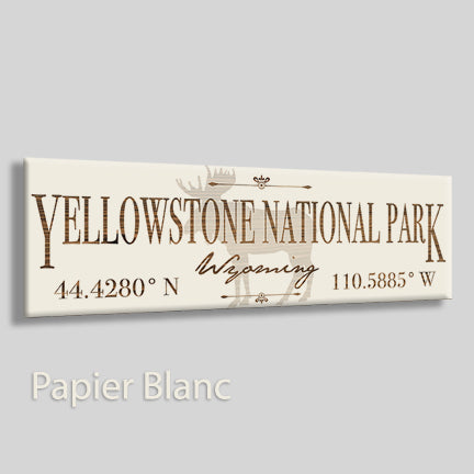 Yellowstone, Wyoming Moose