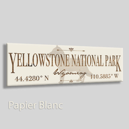 Yellowstone, Wyoming Wolf