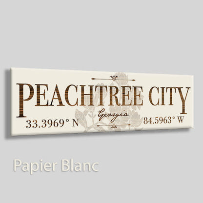 Peachtree City, Georgia