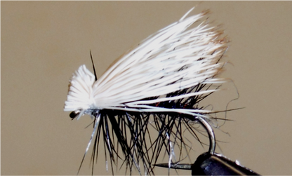Elk Hair Caddis - 8 Colors!