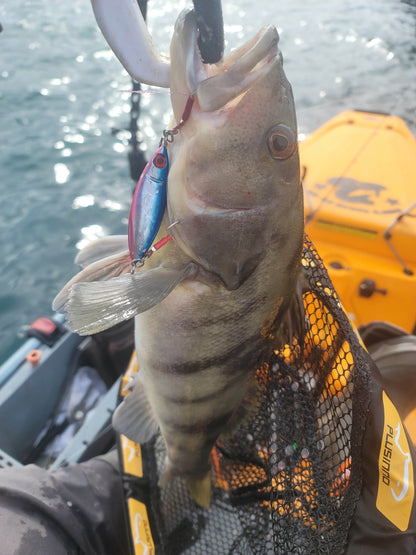 Submission Jigs - Sumo - Middleweight Slow Pitch Jigs