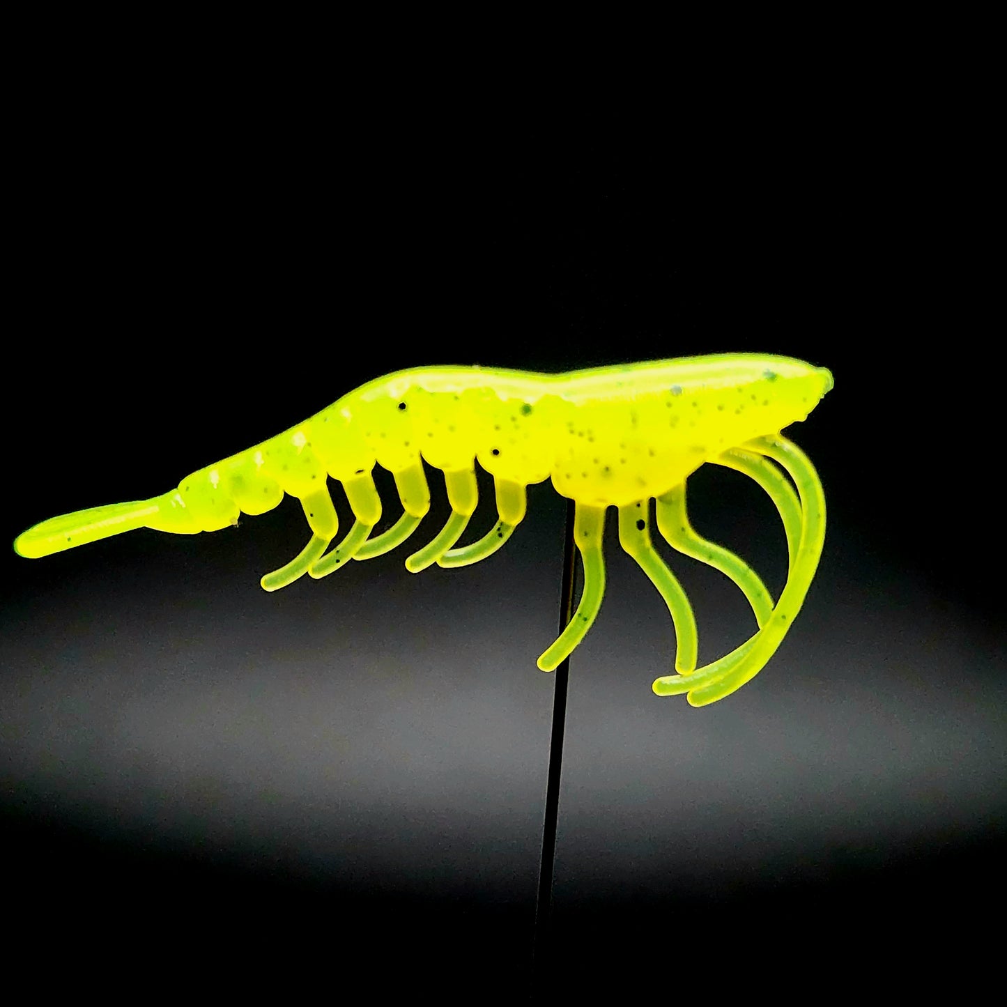 1.8" Shrimp "The Holler Hopper"