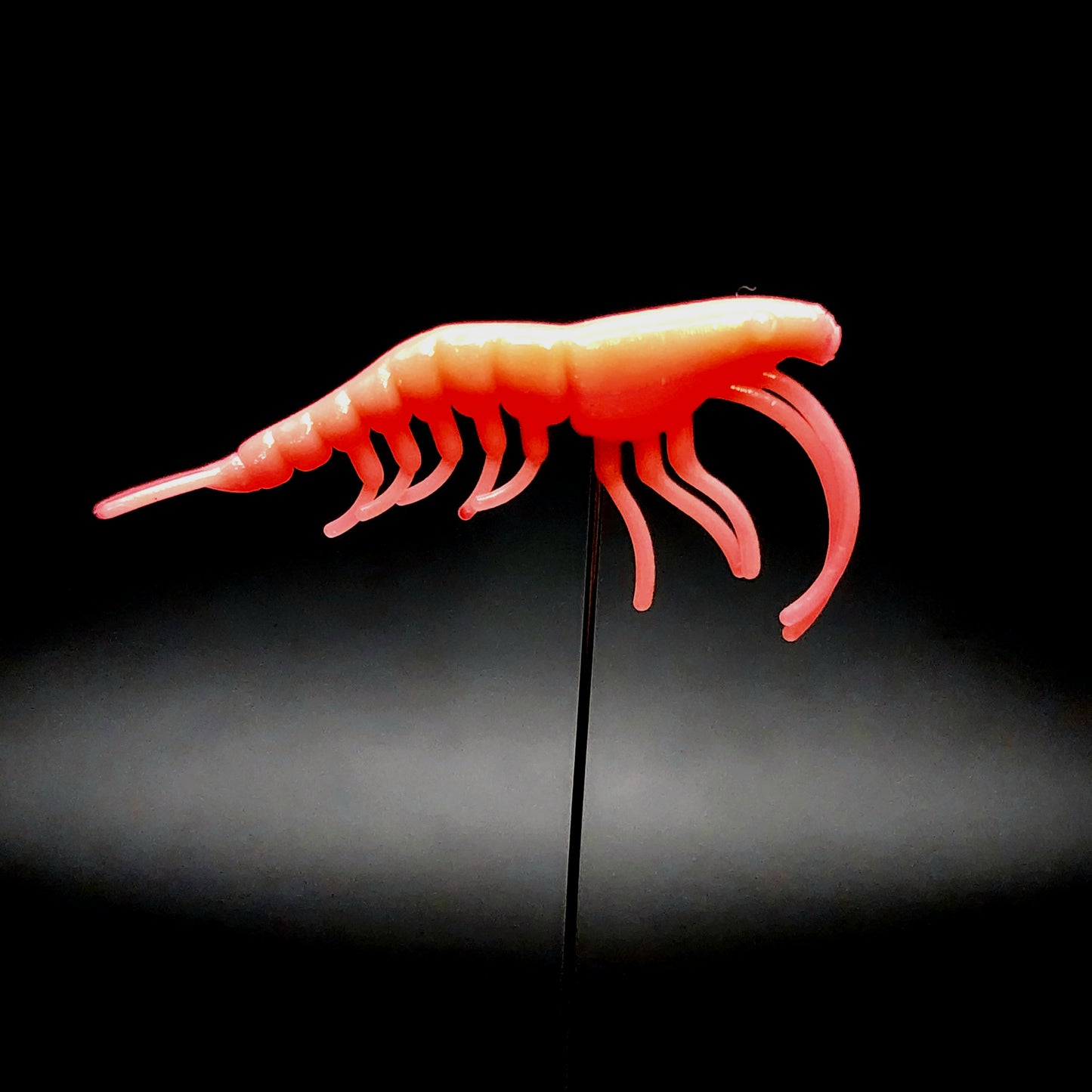 1.8" Shrimp "The Holler Hopper"