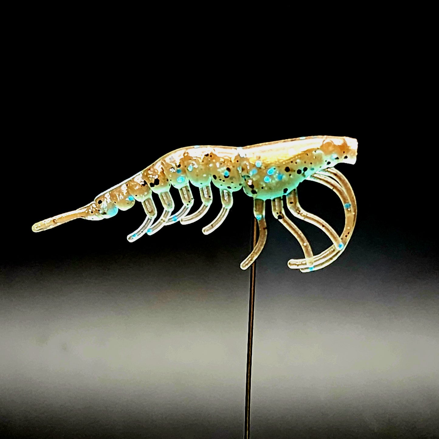 1.8" Shrimp "The Holler Hopper"