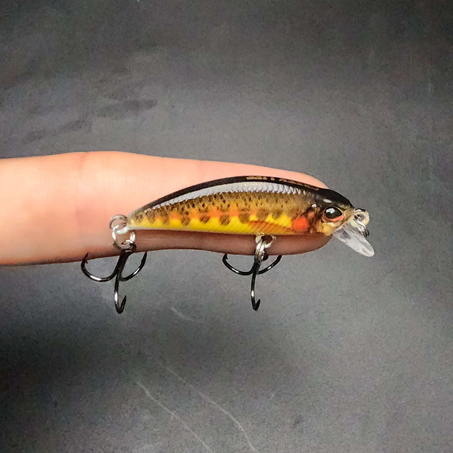 1.5" Sinking Jerk Bait "The MOON Shiner"