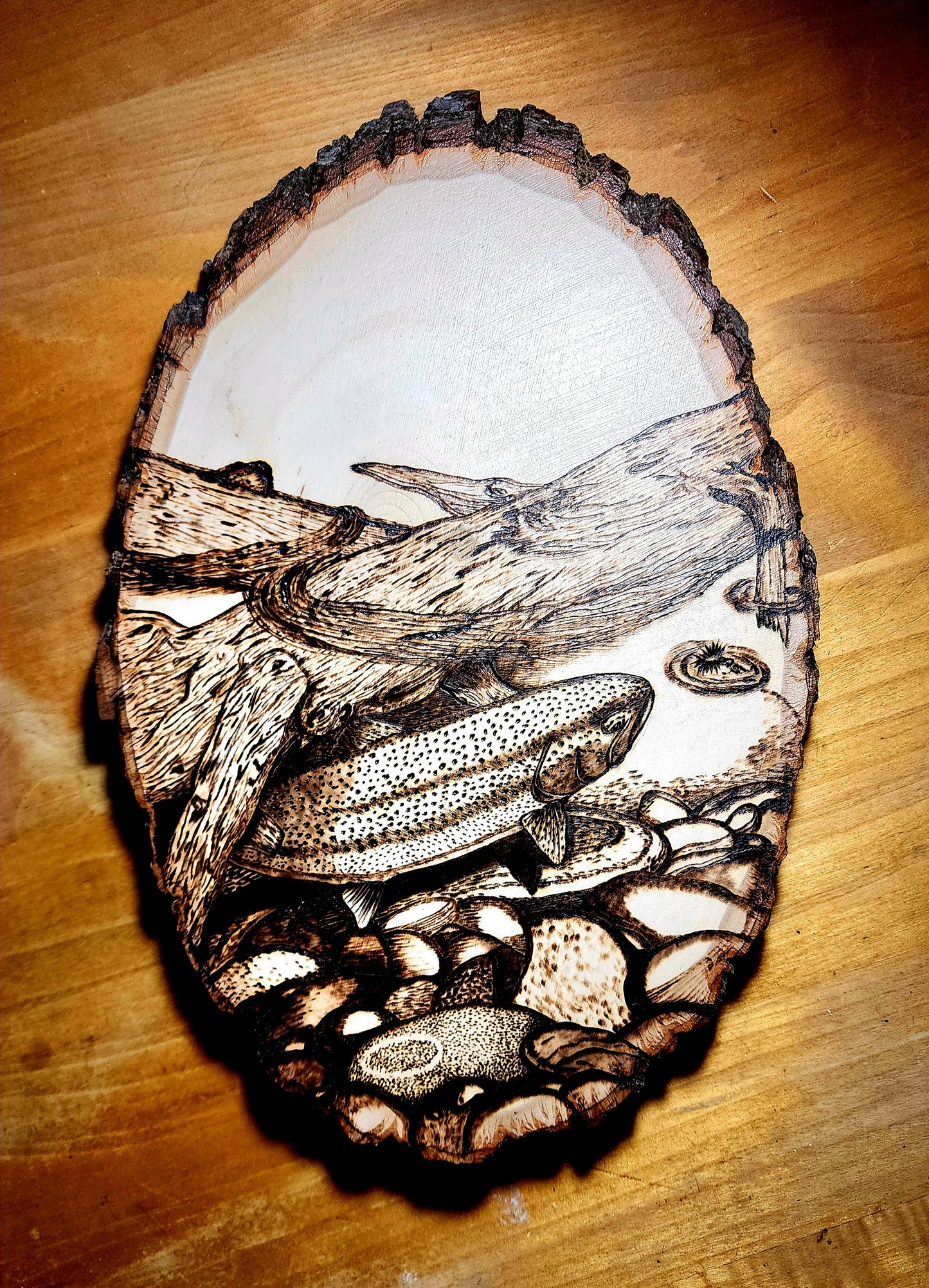 11"x 9" Hand Burned Trout Art