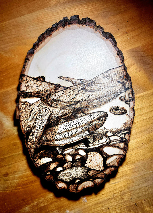 11"x 9" Hand Burned Trout Art