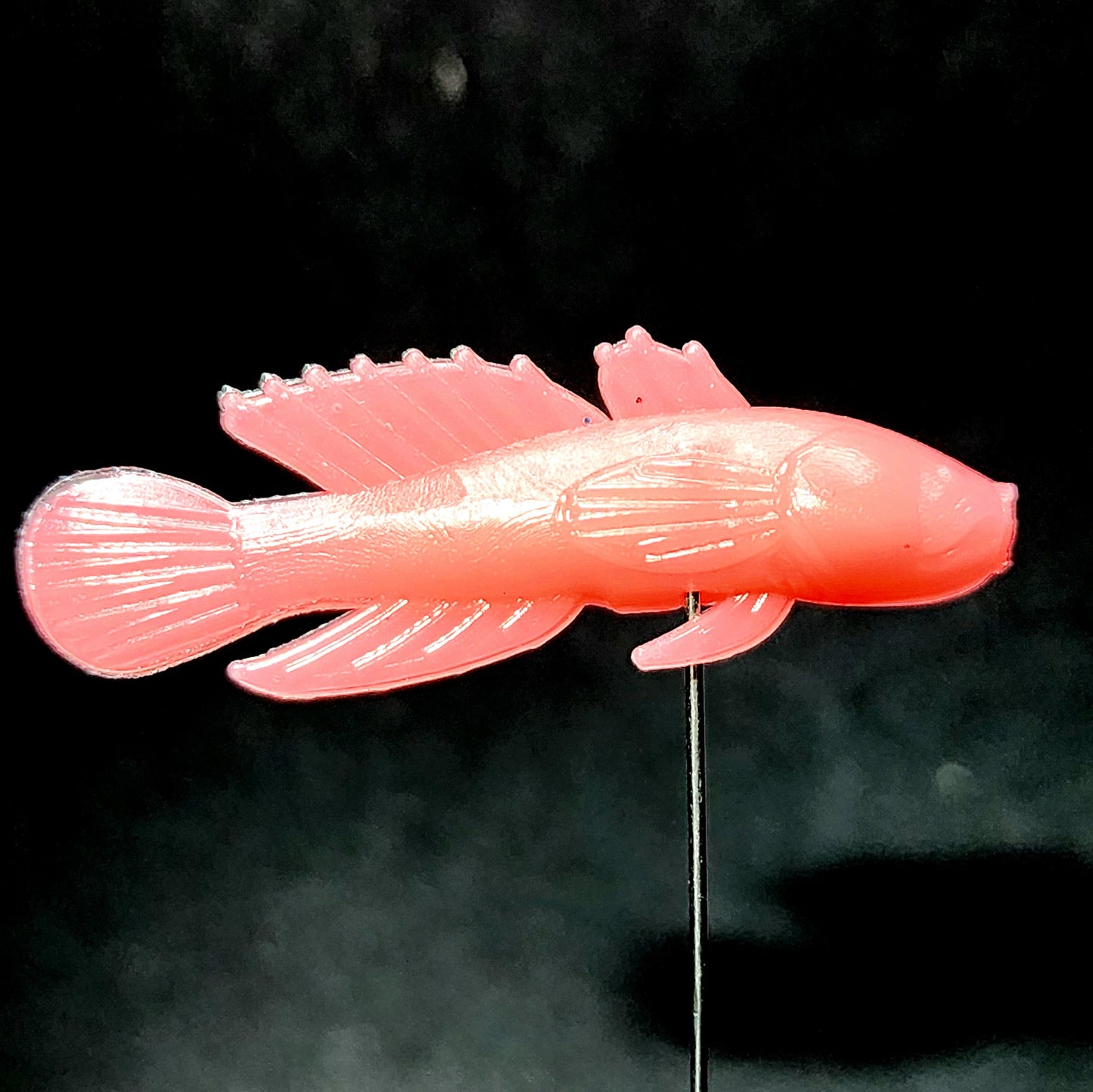 1.5" Darter "The Stream Dancer"