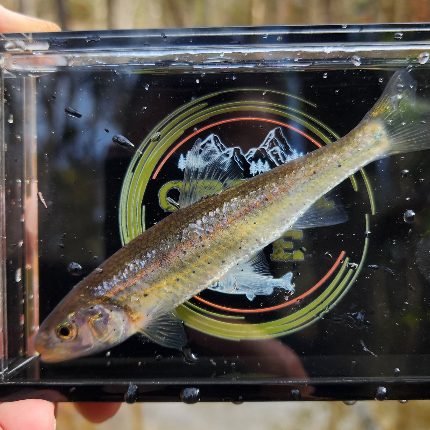 The Crick Chamber Photo Box