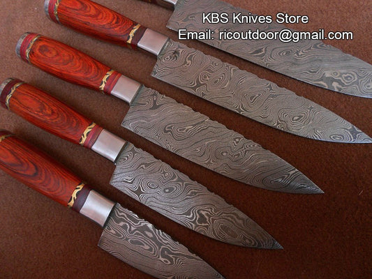 Hand Made Damascus Kitchen Knives Set
