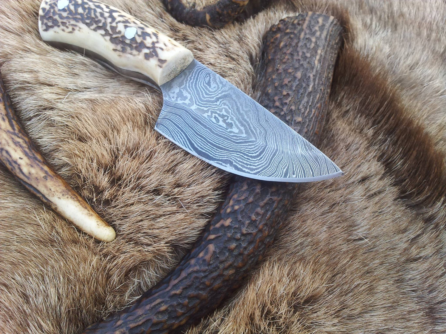 Custom Damascus Steel Field Dressing Deer Skinning Knife with Antler Horn Handle – 7 Inch Drop Point Blade