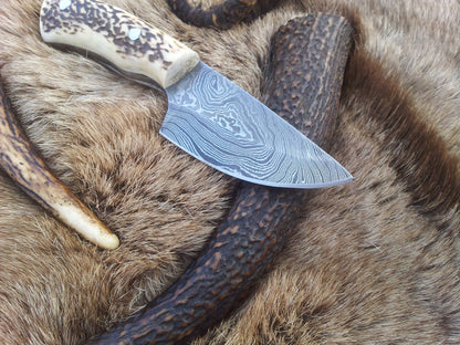 Custom Damascus Steel Field Dressing Deer Skinning Knife with Antler Horn Handle – 7 Inch Drop Point Blade