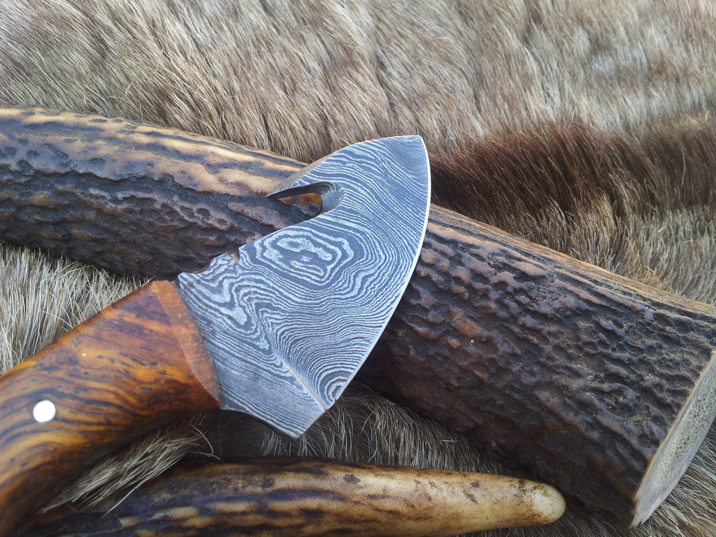 Mini Guthook Knife - Custom Damascus Steel Blade & Rosewood Handle