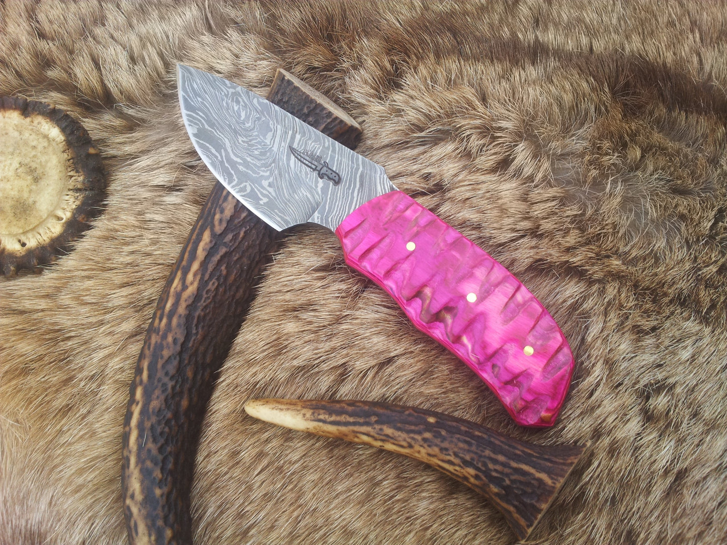 Exotic Pink Pakka Wood Damascus Steel Drop Point Skinning Knife – 7 Inch Overall Length