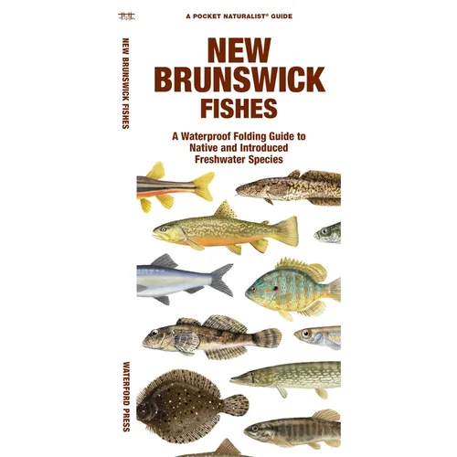 New Brunswick Fishes - Paperback
