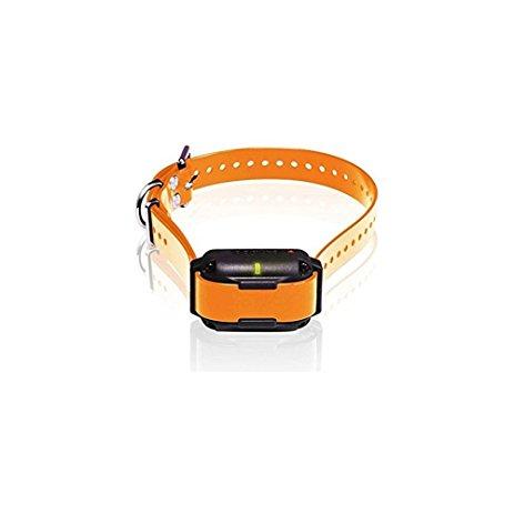 Dogtra Edge RT Additional Collar