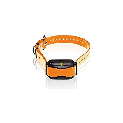 Dogtra Edge RT Additional Collar