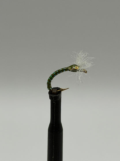 3D Buzzer - Chironomid