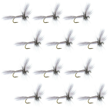 Barbless White Wulff Classic Hair Wing Dry Fly - 1 Dozen Flies Hook Size 12