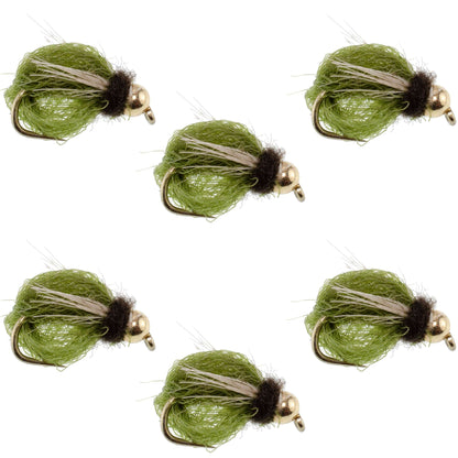 Bead Head LaFontaine Olive Deep Sparkle Caddis Pupa - 6 Flies Hook Size 14