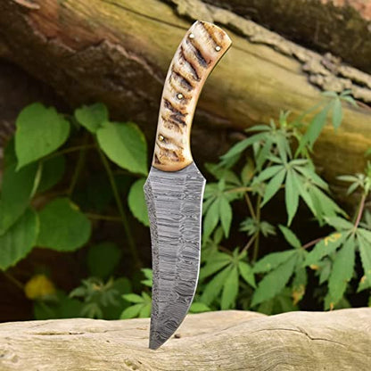 Handcrafted Damascus Hunting Knife: Sheep Horn Handle, 8.5-inch Overall Length, Leather Sheath - KBS Knives Store
