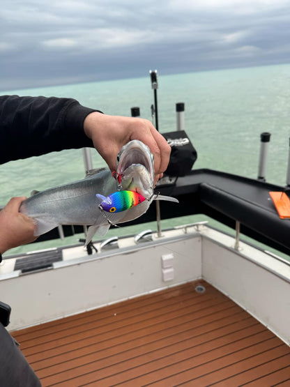 Killer Fish - Rattling Shallow Diver UV