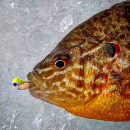 ORANGE/YELLOW GLOW TUNGSTEN JIG