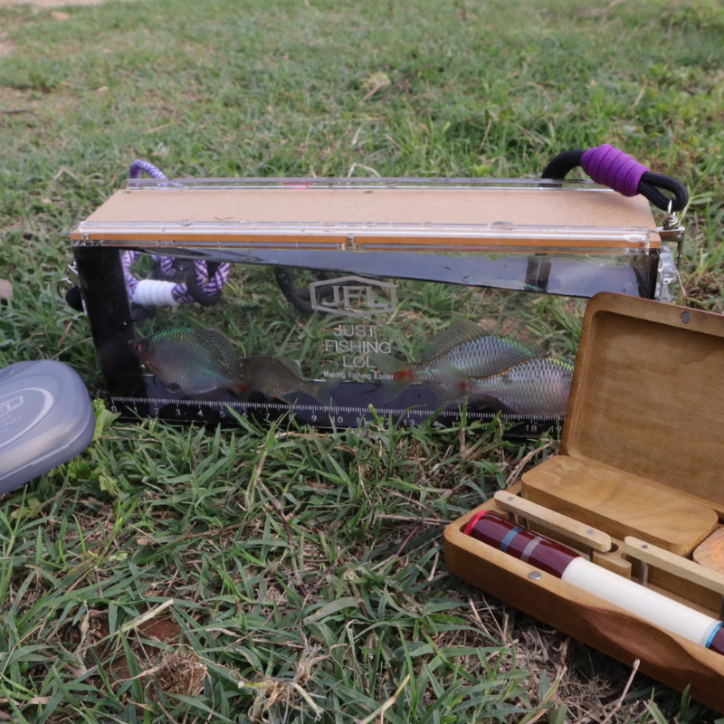 Fish Observation & Viewing Box – Ultra-Clear Acrylic