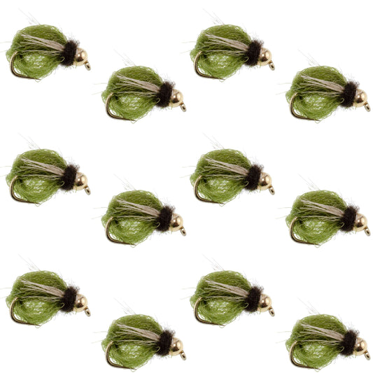 Bead Head LaFontaine Olive Deep Sparkle Caddis Pupa - 12Flies Size 14