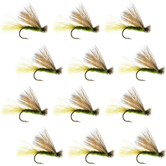 Barbless Olive X Caddis Emerging Caddis Adult Fly - 12 Flies Size 16