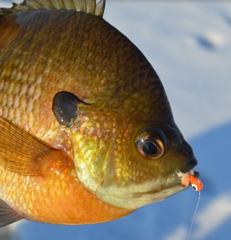 BRIGHT ORANGE GLOW TUNGSTEN JIG