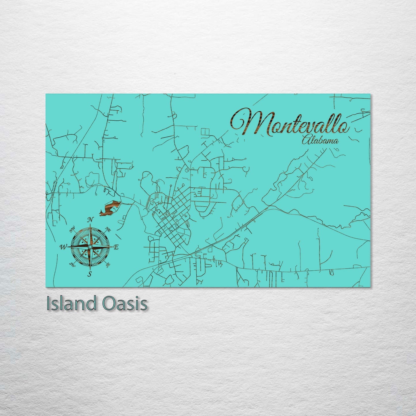 Montevallo, Alabama Street Map