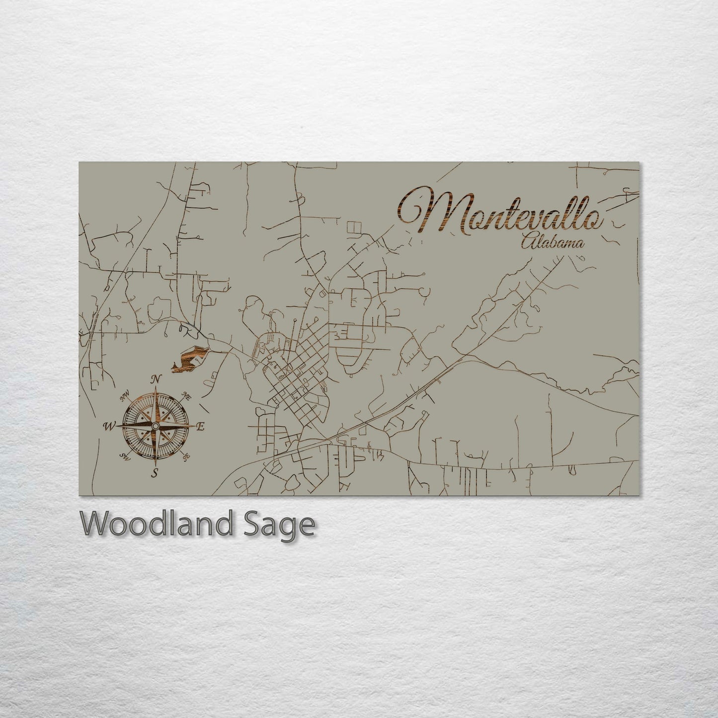 Montevallo, Alabama Street Map