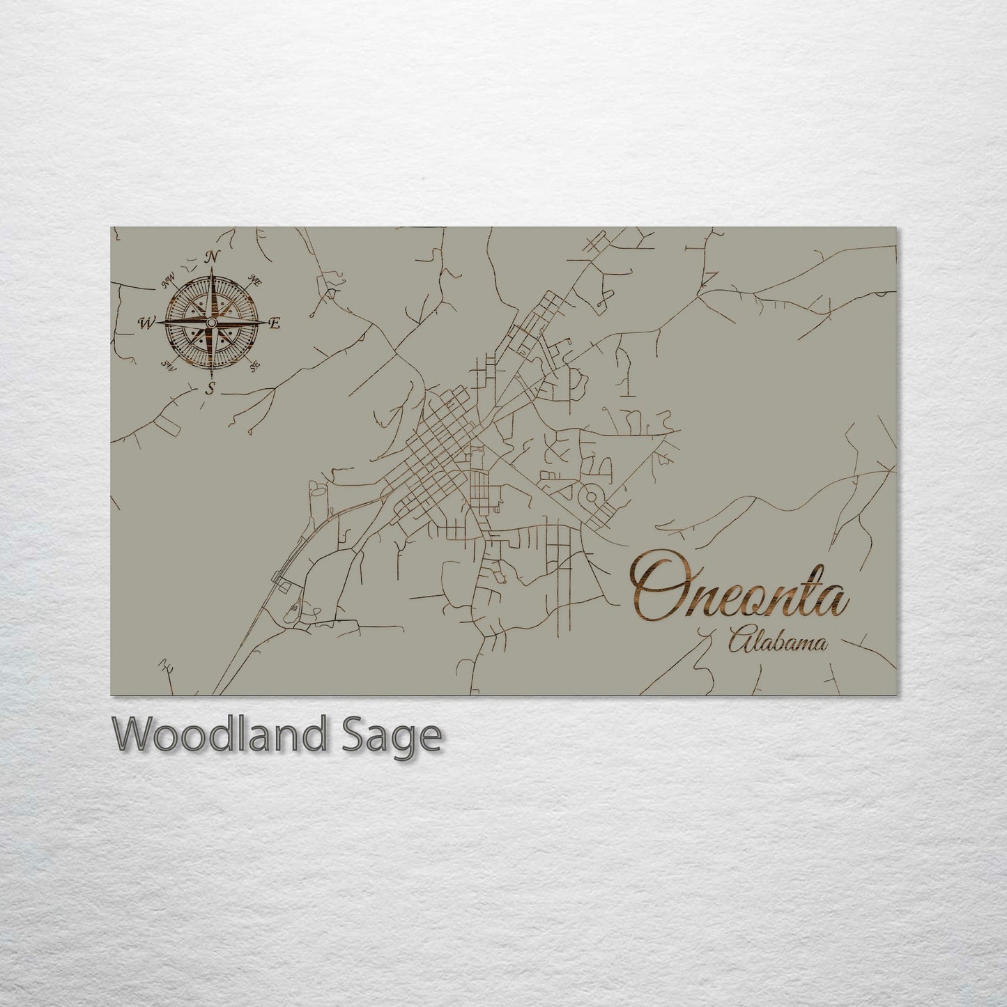 Oneonta, Alabama Street Map