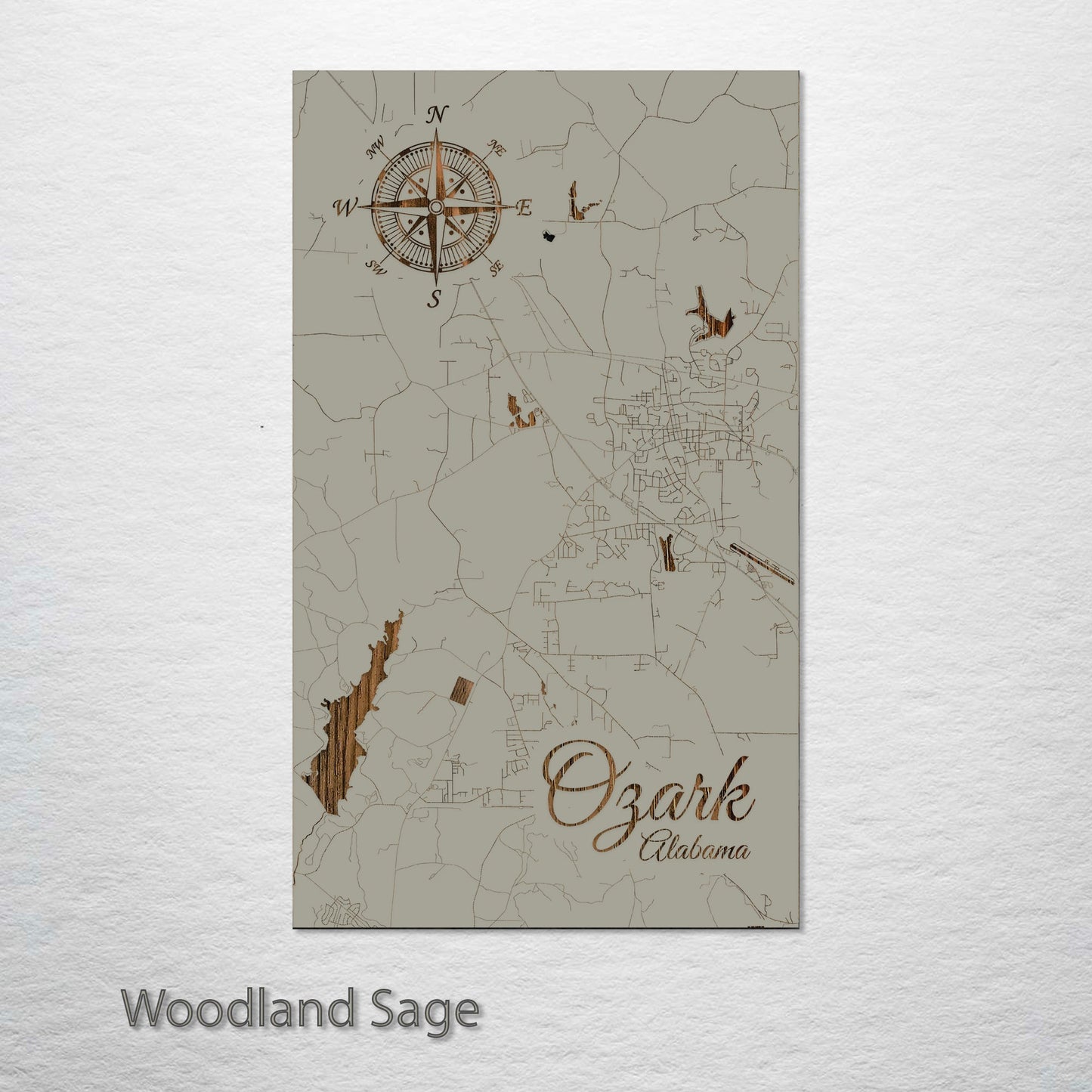 Ozark, Alabama Street Map