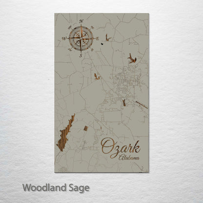 Ozark, Alabama Street Map