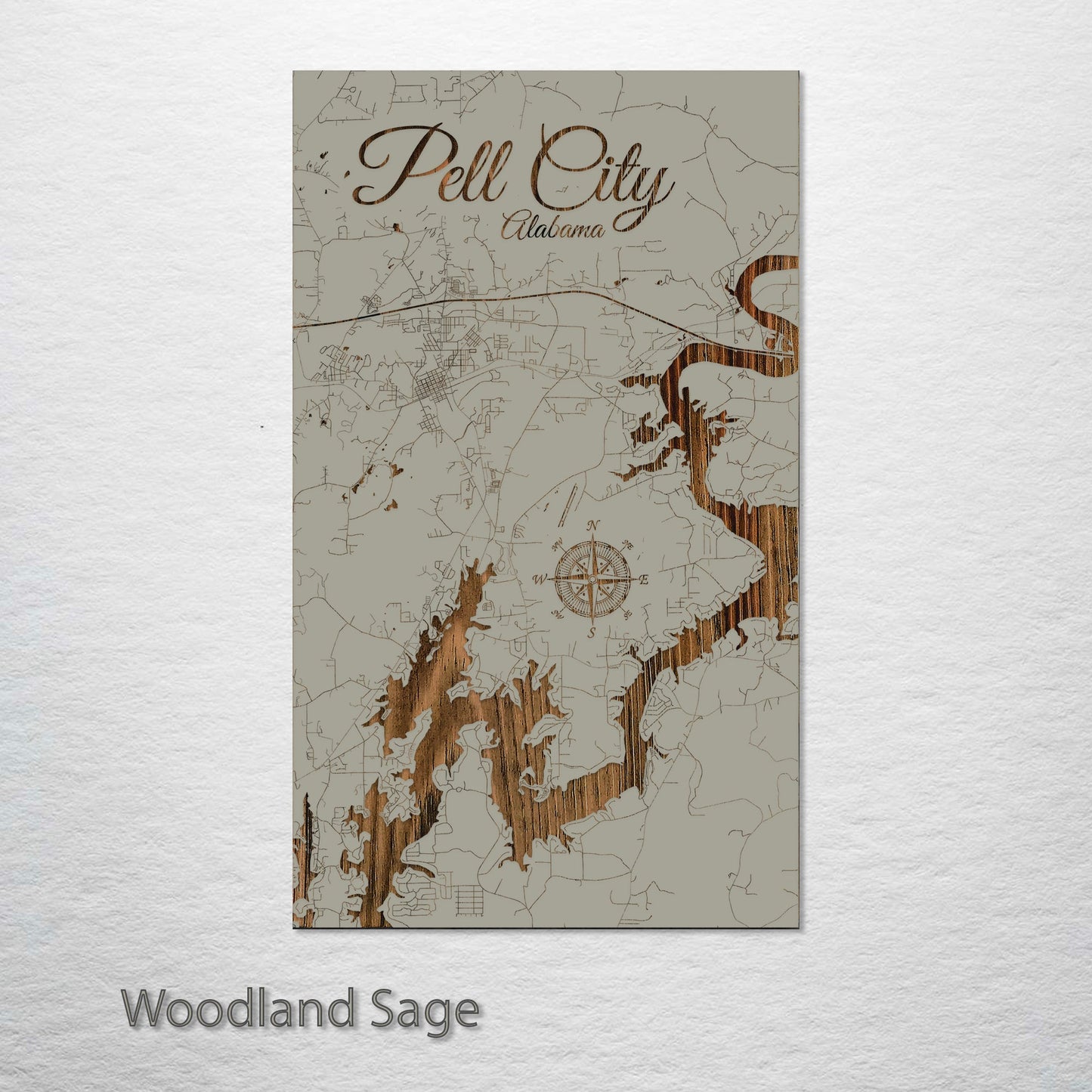 Pell City, Alabama Street Map