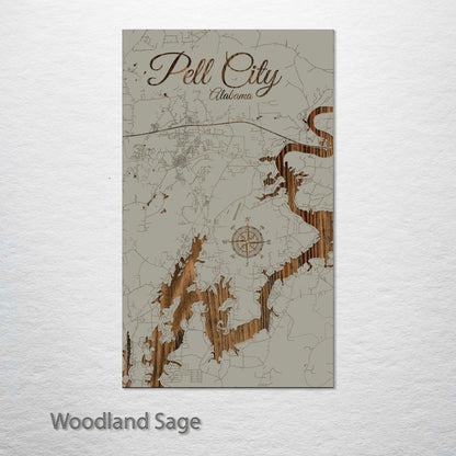 Pell City, Alabama Street Map