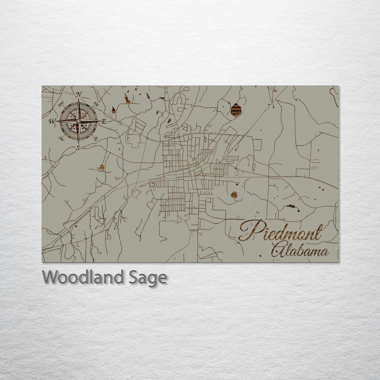 Piedmont, Alabama Street Map