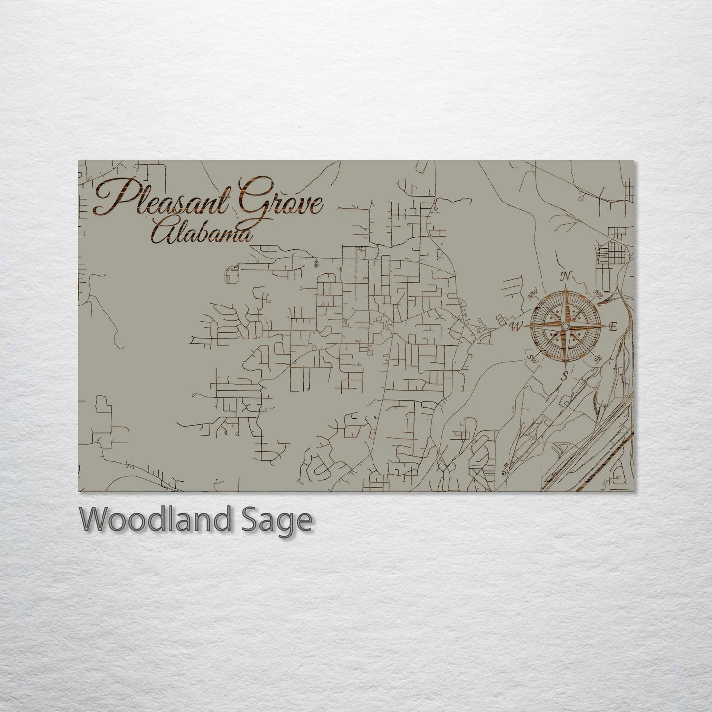 Pleasant Grove, Alabama Sreet Map