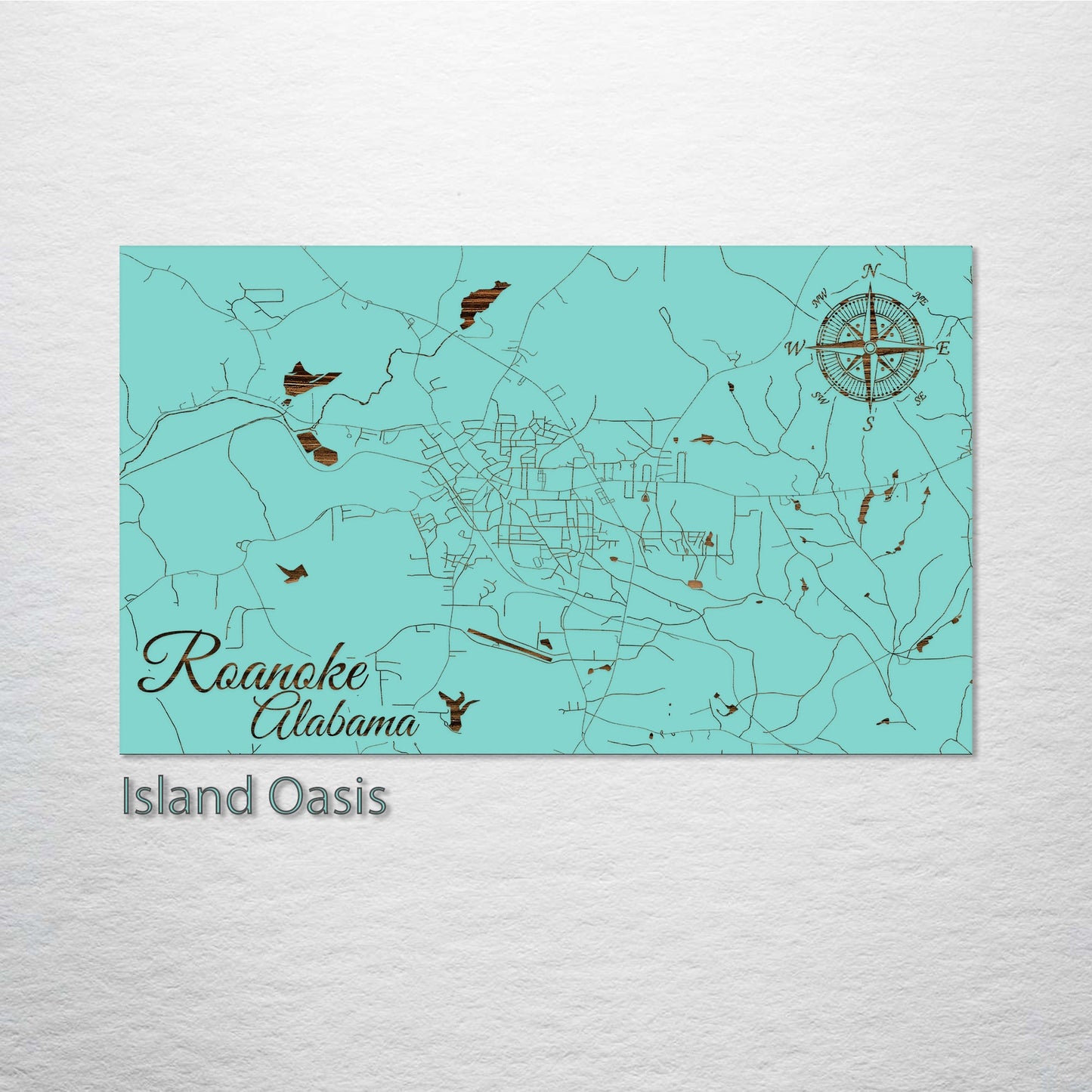 Roanoke, Alabama Street Map