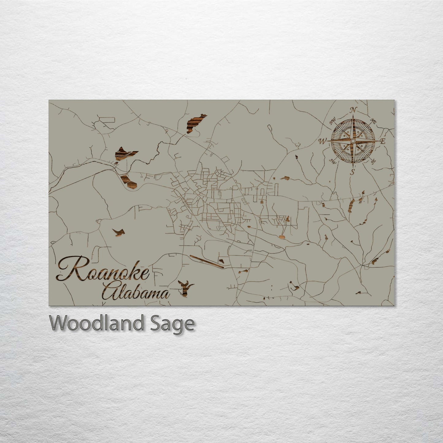 Roanoke, Alabama Street Map