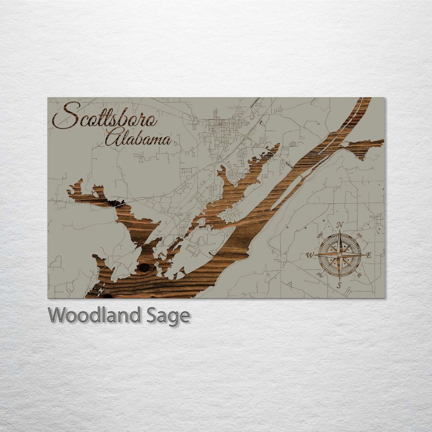 Scottsboro, Alabama Street Map